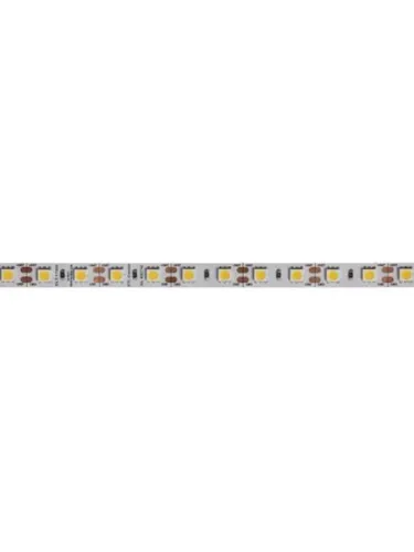 Dainolite LED Light Strips