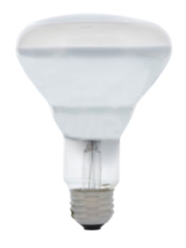 ledvance_65br30-dl-fl-rp-120v