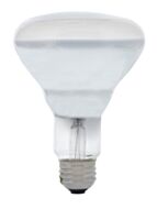 ledvance_65br30-dl-fl-rp-120v